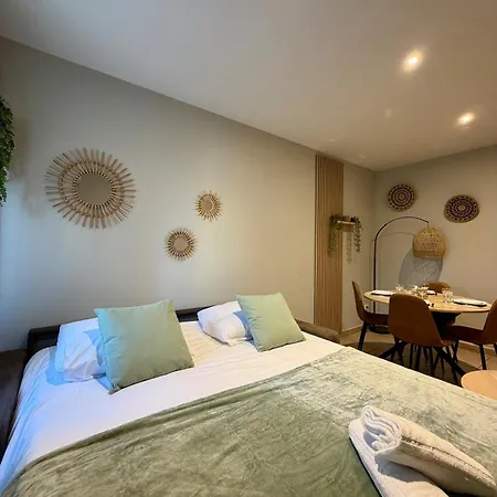 Serena, Cocon Familial, Balneo דירה Bourgoin-Jallieu